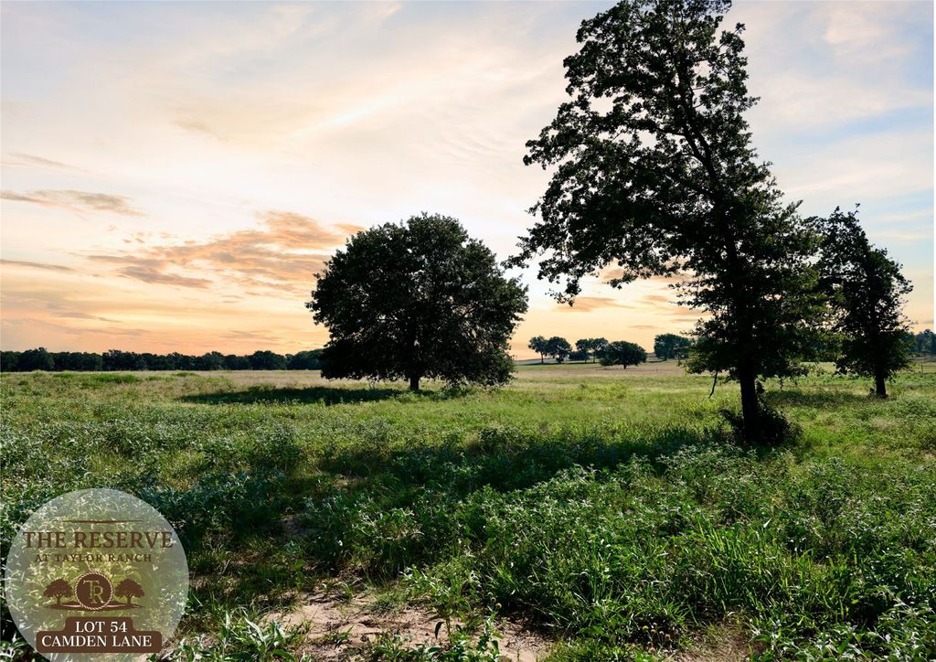 Lot 54 Camden Lane, Springtown, TX 76082