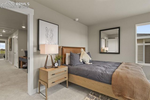 6855 Diamant View, Colorado Springs, CO 80924