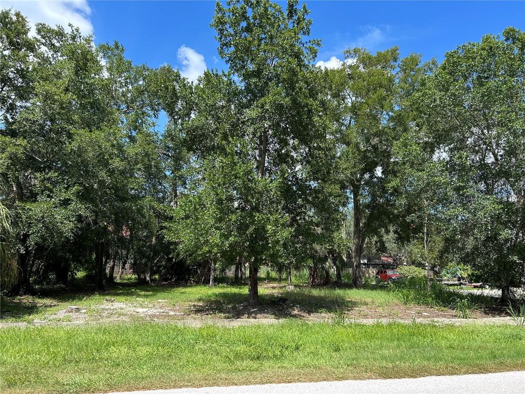 VENTNOR AVENUE, Tarpon Springs, FL 34689