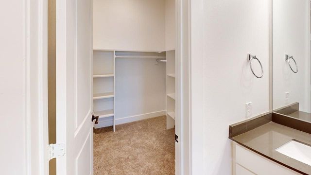 349 Mule Deer Drive, Frisco, TX 75068