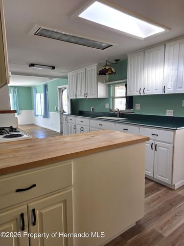 7606 Dinsmore Street, Brooksville, FL 34613