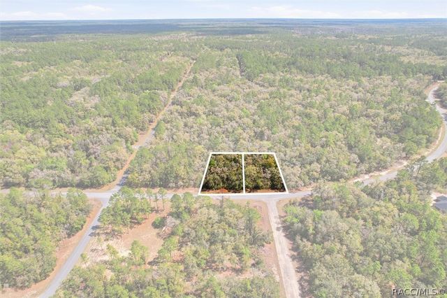 8987 N Alameda Drive, Dunnellon, FL 34434