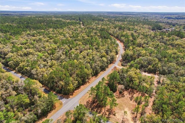 8987 N Alameda Drive, Dunnellon, FL 34434