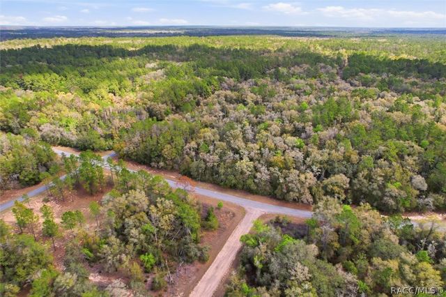 8987 N Alameda Drive, Dunnellon, FL 34434