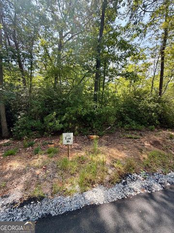 LOT 16 Turquoise Ridge, Blue Ridge, GA 30513