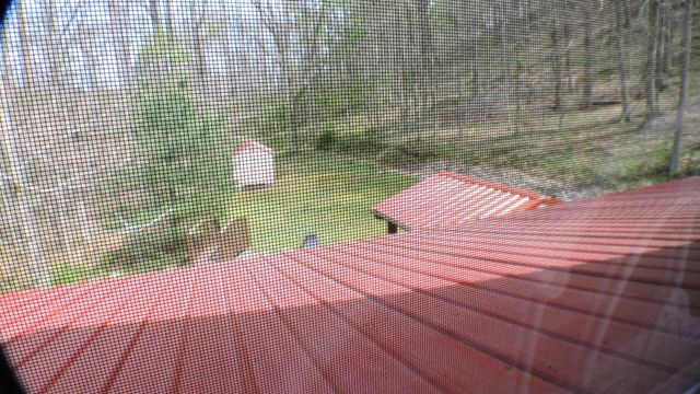 843 Elk Lick Road, Olympia, KY 40358