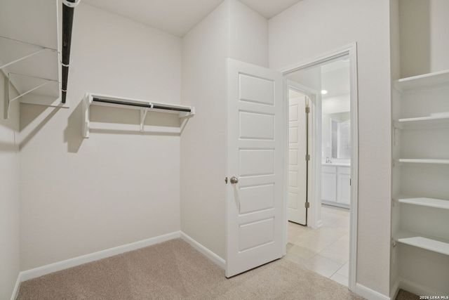 10003 Briceway Gap, San Antonio, TX 78254