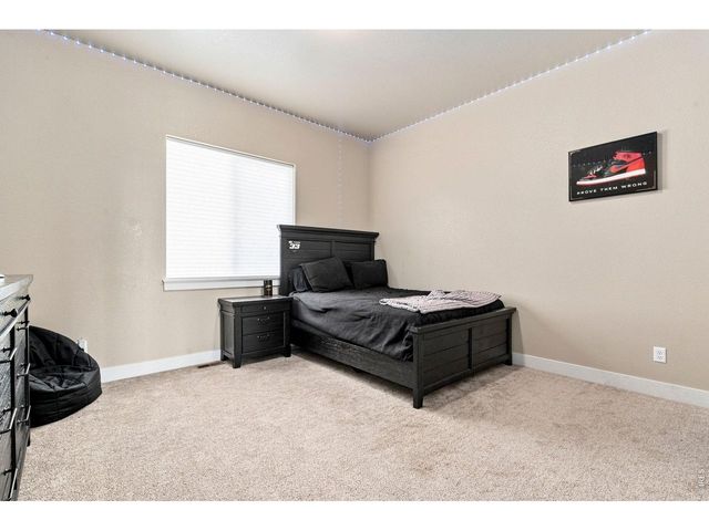 870 Loess Ln, Windsor, CO 80550