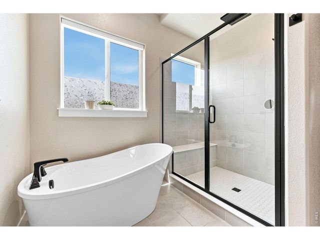 870 Loess Ln, Windsor, CO 80550