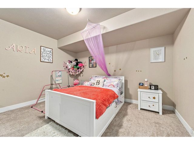 870 Loess Ln, Windsor, CO 80550