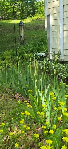 320 Newton Street, Northborough, MA 01532