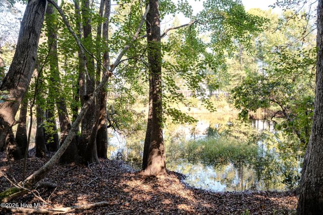 479 Sugar Cove Run, Wilmington, NC 28411