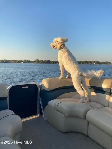 729 Short Drive, Washington, NC 27889