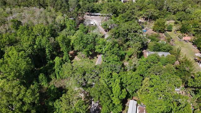1920 10TH STREET, Orlando, FL 32820