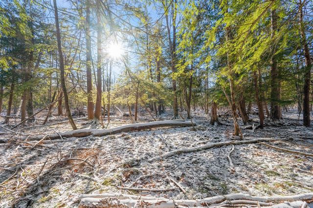 3285 Mineral Springs Trail, Mount Pleasant, MI 48858