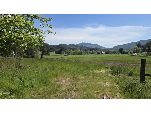 89505 POODLE CREEK Rd, Noti, OR 97461