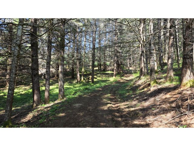 89505 POODLE CREEK Rd, Noti, OR 97461