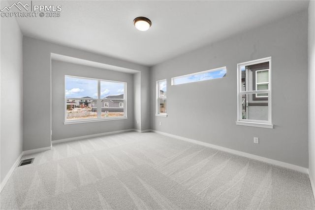 102 Limbach Court, Monument, CO 80132