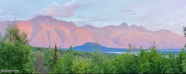 17000 E T and T Lane, Palmer, AK 99645