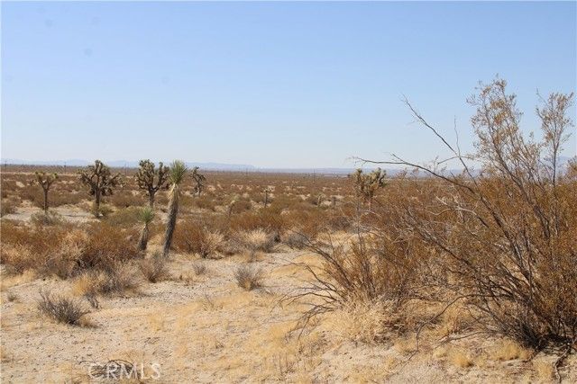 18 Lessing Avenue, Adelanto, CA 92301