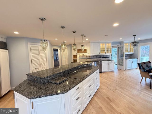 10701 SYCAMORE SPRINGS LN, Great Falls, VA 22066