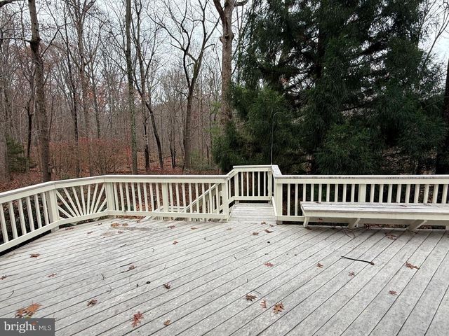 10701 SYCAMORE SPRINGS LN, Great Falls, VA 22066