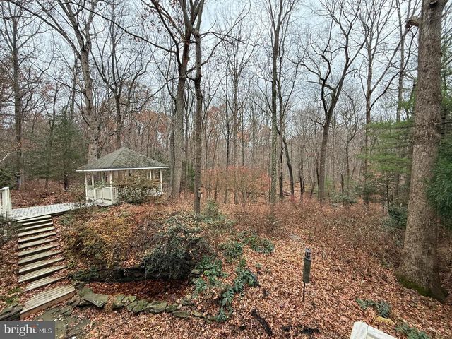 10701 SYCAMORE SPRINGS LN, Great Falls, VA 22066