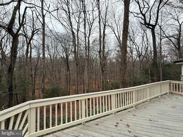 10701 SYCAMORE SPRINGS LN, Great Falls, VA 22066