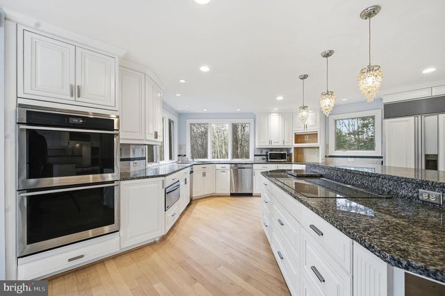 10701 SYCAMORE SPRINGS LN, Great Falls, VA 22066