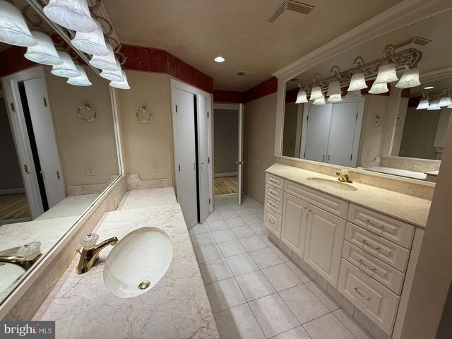 10701 SYCAMORE SPRINGS LN, Great Falls, VA 22066