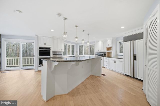 10701 SYCAMORE SPRINGS LN, Great Falls, VA 22066