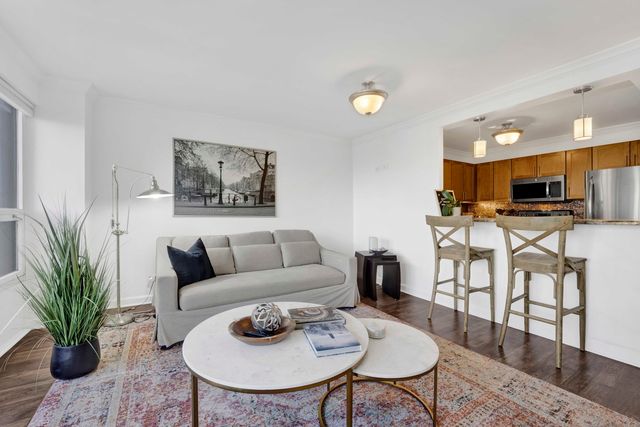 30 E Huron Street 3206, Chicago, IL 60611