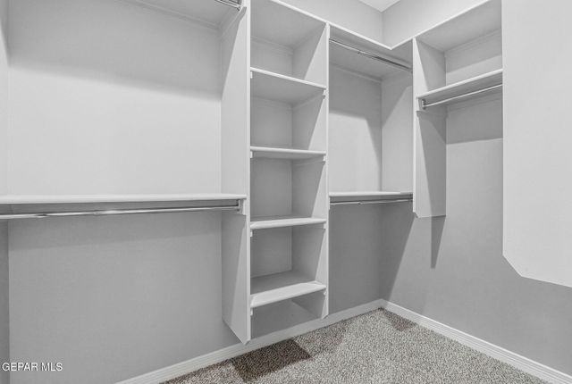 14853 TED BANKS Avenue, El Paso, TX 79938