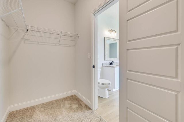 834 Snow Bunting Court, North Augusta, SC 29860