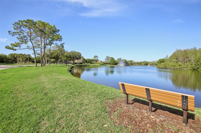 19329 GARDEN QUILT CIRCLE, Lutz, FL 33558