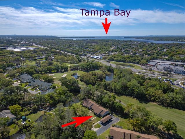 600 S WOODLANDS DRIVE, Oldsmar, FL 34677
