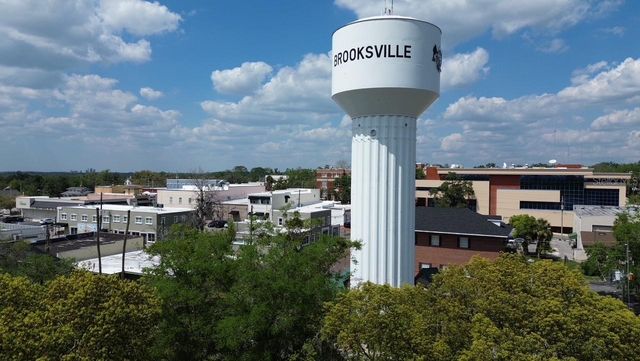 117 S BROOKSVILLE AVENUE, Brooksville, FL 34601