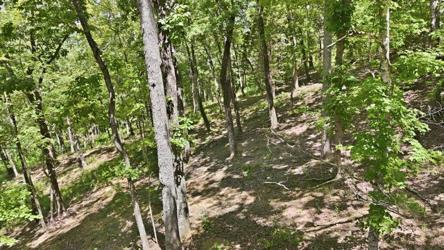 103 Ridgeline Trl, Dandridge, TN 37725