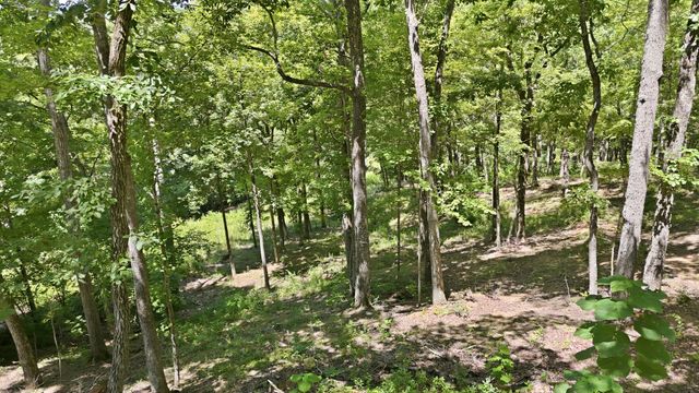 103 Ridgeline Trl, Dandridge, TN 37725