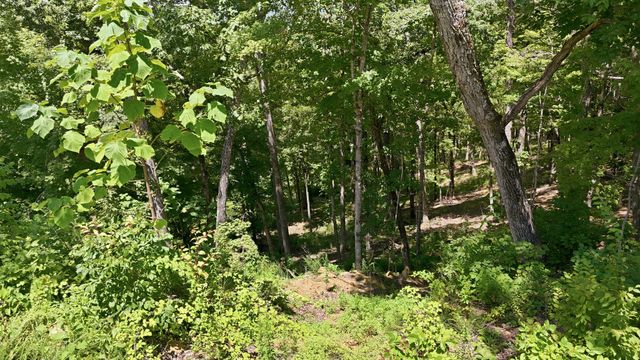 103 Ridgeline Trl, Dandridge, TN 37725