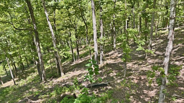 103 Ridgeline Trl, Dandridge, TN 37725