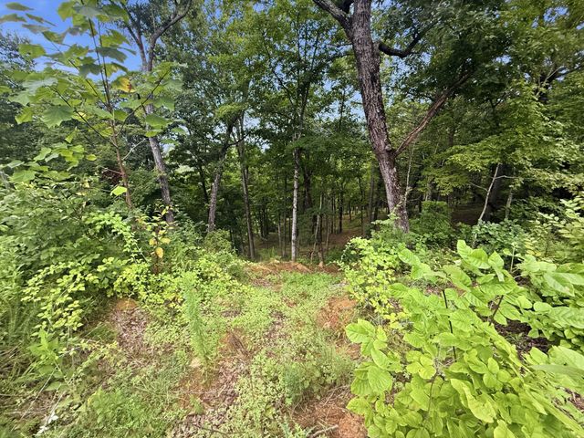 103 Ridgeline Trl, Dandridge, TN 37725