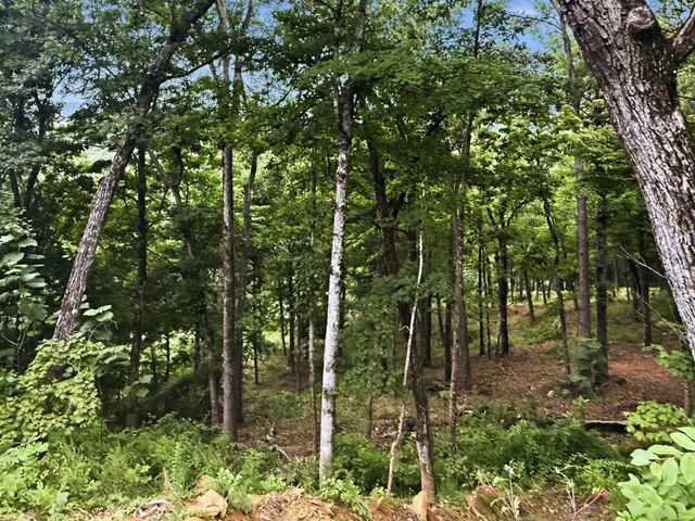 103 Ridgeline Trl, Dandridge, TN 37725
