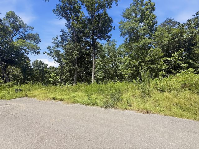 103 Ridgeline Trl, Dandridge, TN 37725