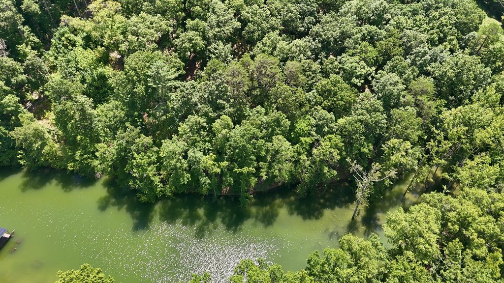 103 Ridgeline Trl, Dandridge, TN 37725