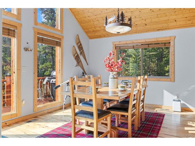 407 Puma Pl, Fairplay, CO 80440