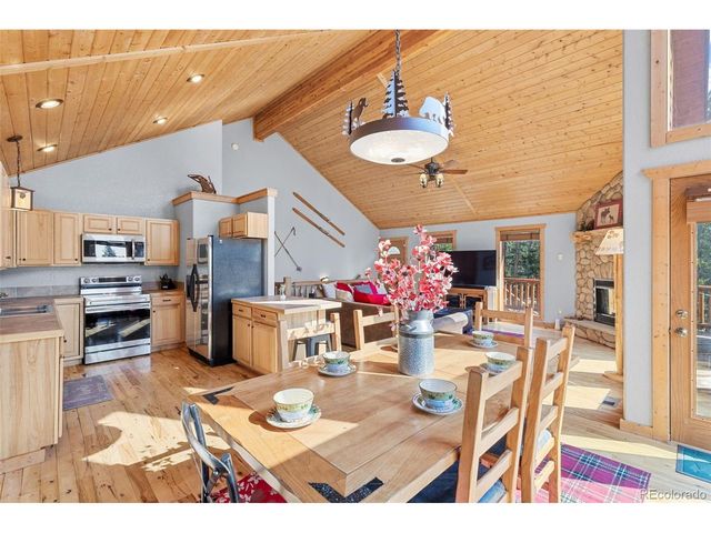 407 Puma Pl, Fairplay, CO 80440