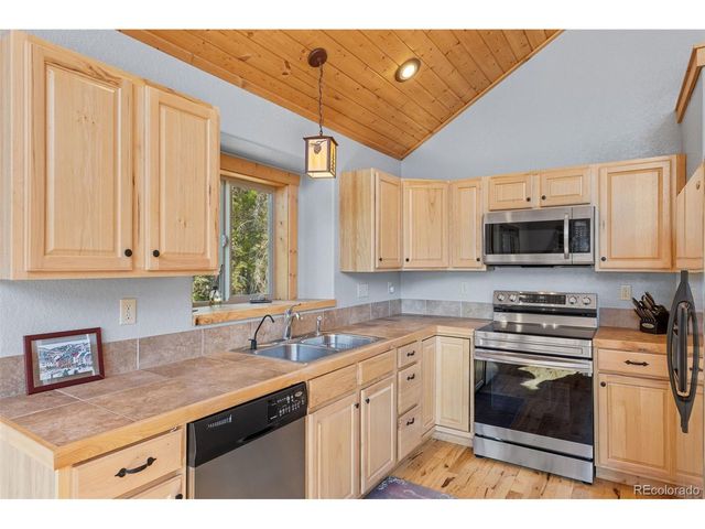 407 Puma Pl, Fairplay, CO 80440