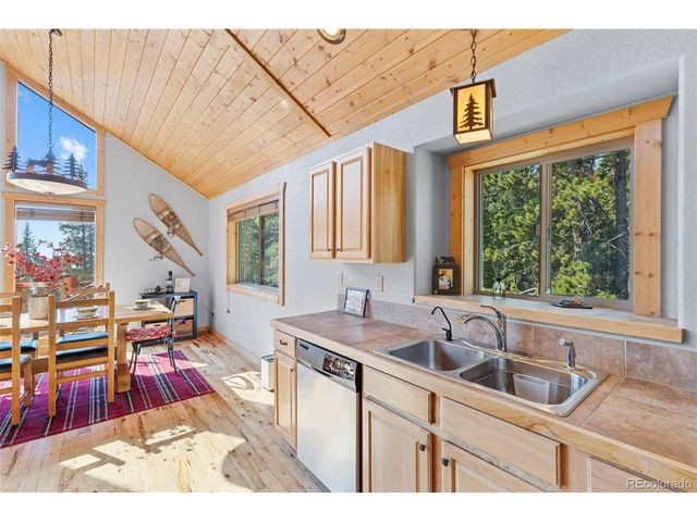 407 Puma Pl, Fairplay, CO 80440