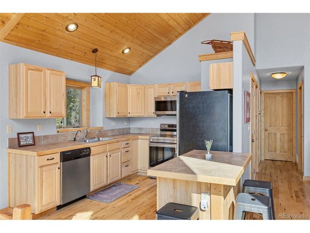 407 Puma Pl, Fairplay, CO 80440